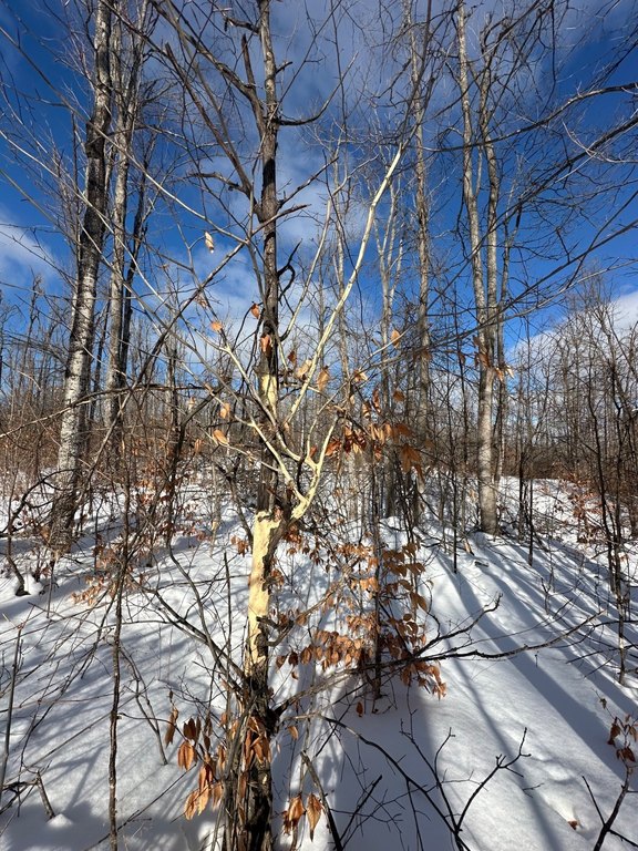 Picture 19