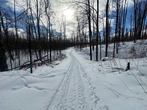 Land in Northern Michigan Highlands