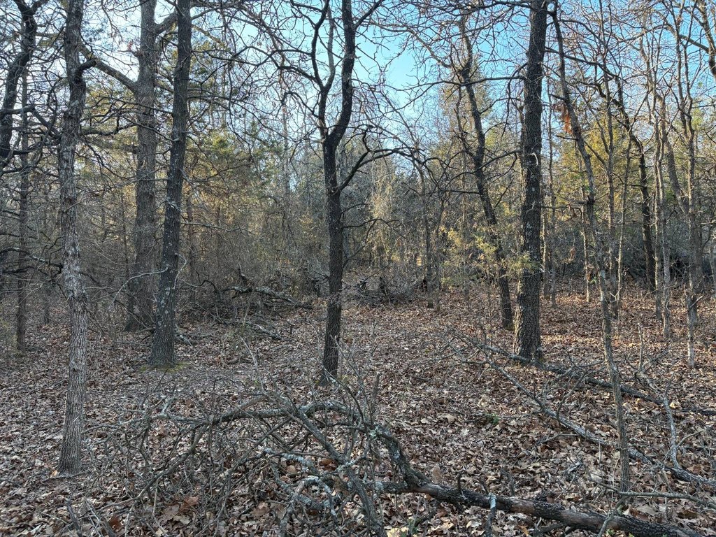 Picture 19