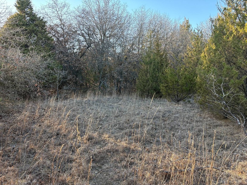 Picture 10