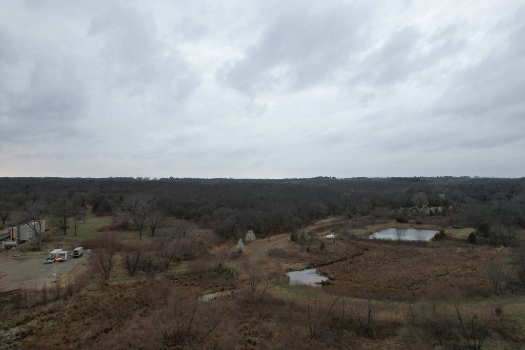 Picture 30