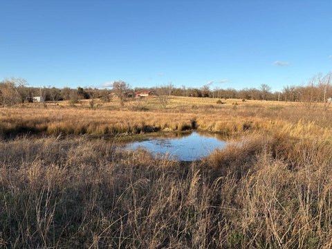 Timber and Pond Hunting Land