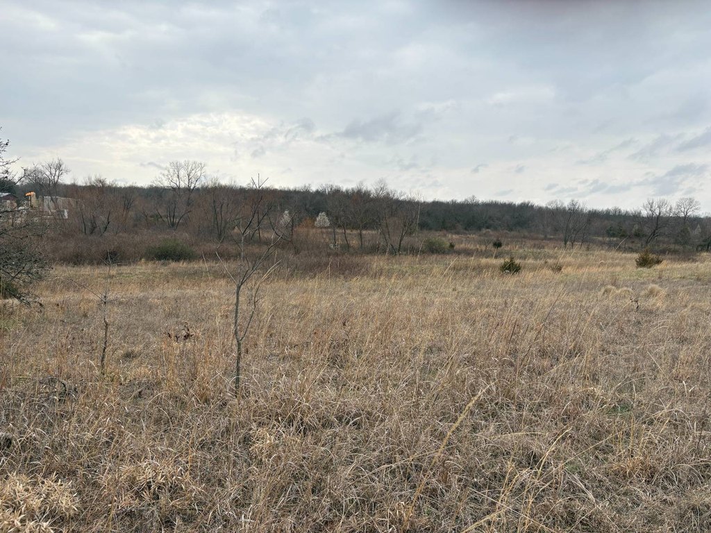 Picture 23