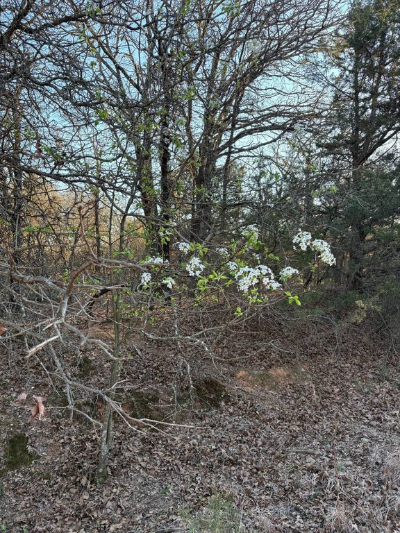 Picture 6