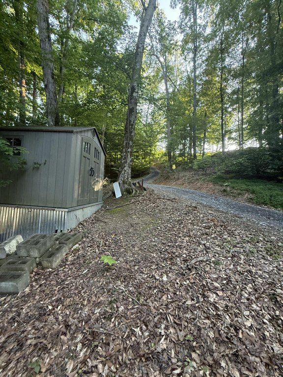 Picture 6