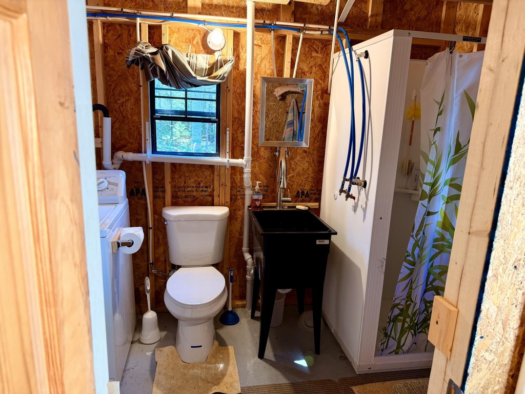 Picture 5