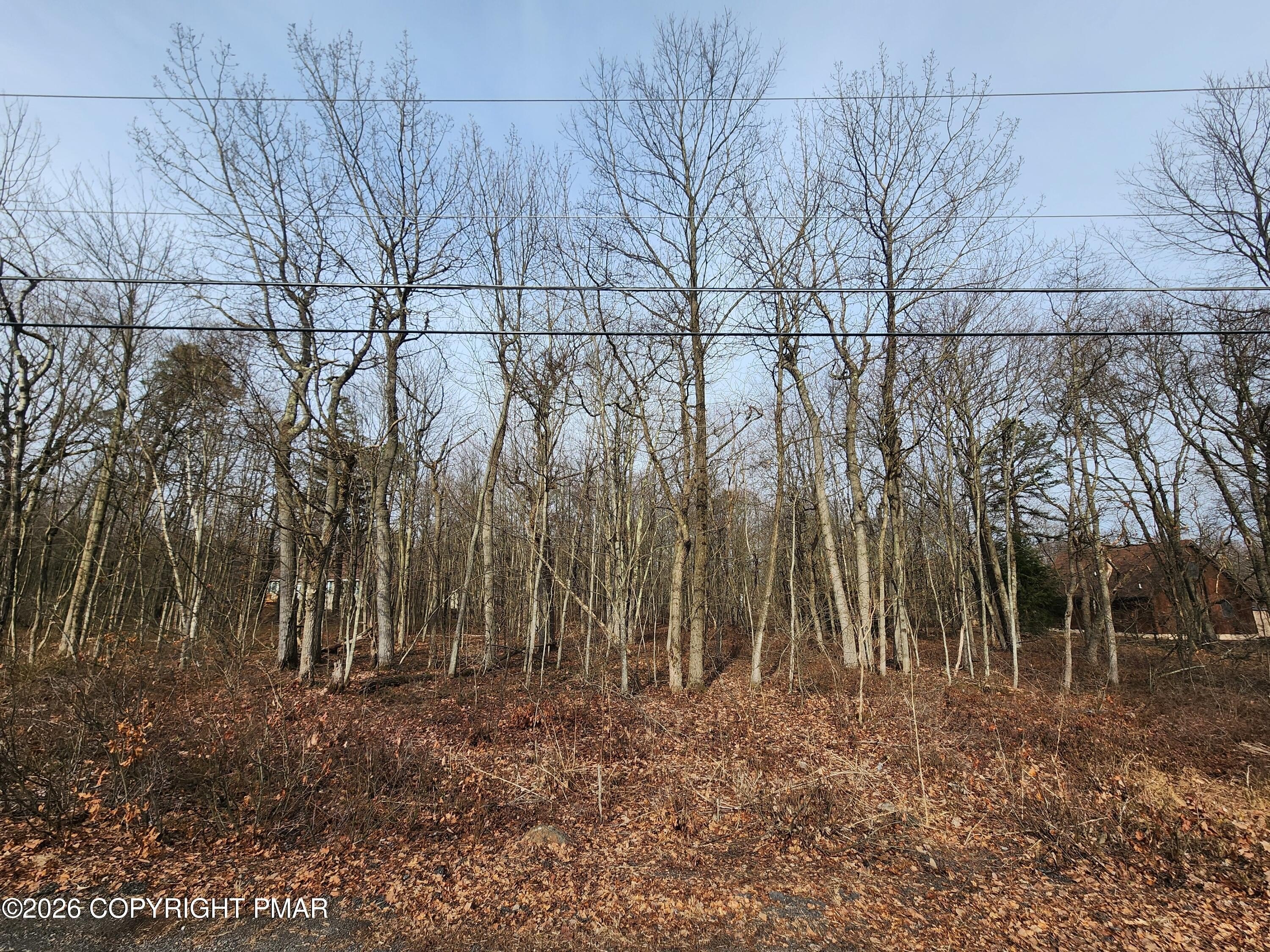 Wooded Lot Near Community Amenities