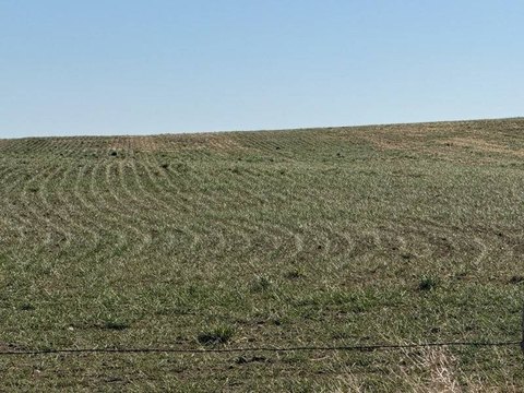Agricultural Land Parcel