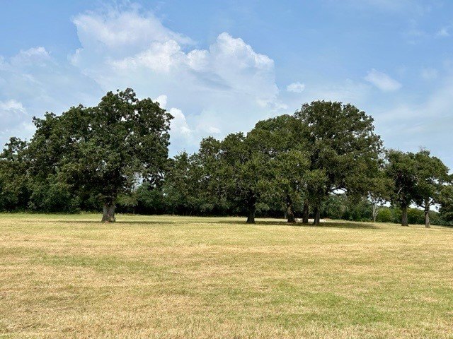 Picture 17