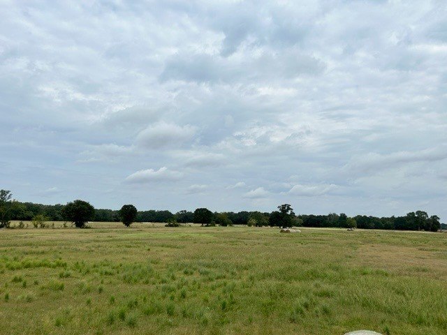 Picture 20