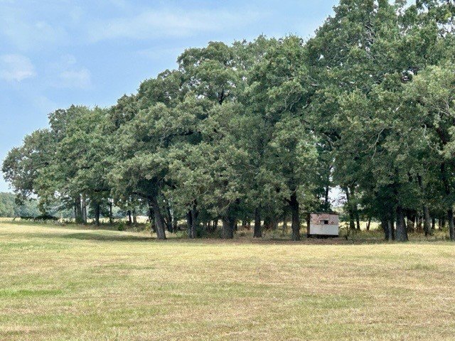 Picture 18
