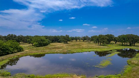 Multi-Purpose Ranch Land