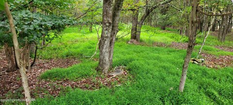 Land in Albrightsville, Pennsylvania