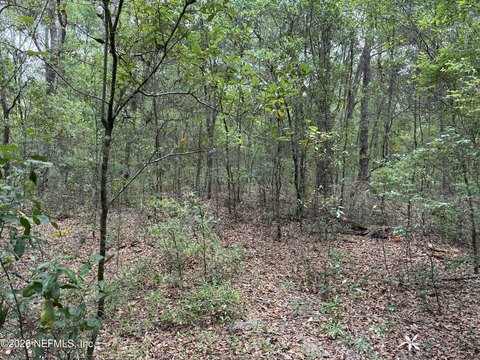Wooded Lot in Interlachen, FL