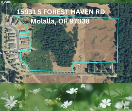 Molalla Land with Mountain Views