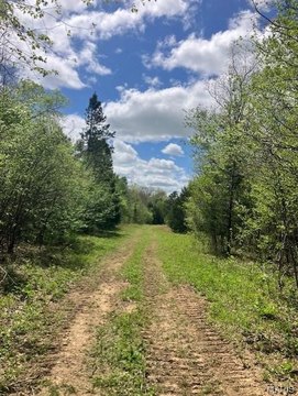 Wooded Hunting Land with Stream