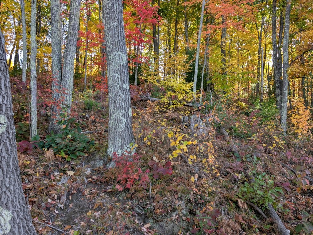 Picture 16