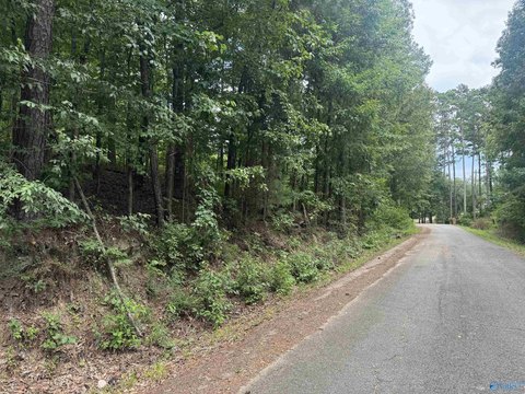 LAND - Glencoe, AL