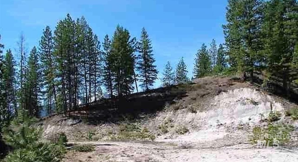 Picture 5