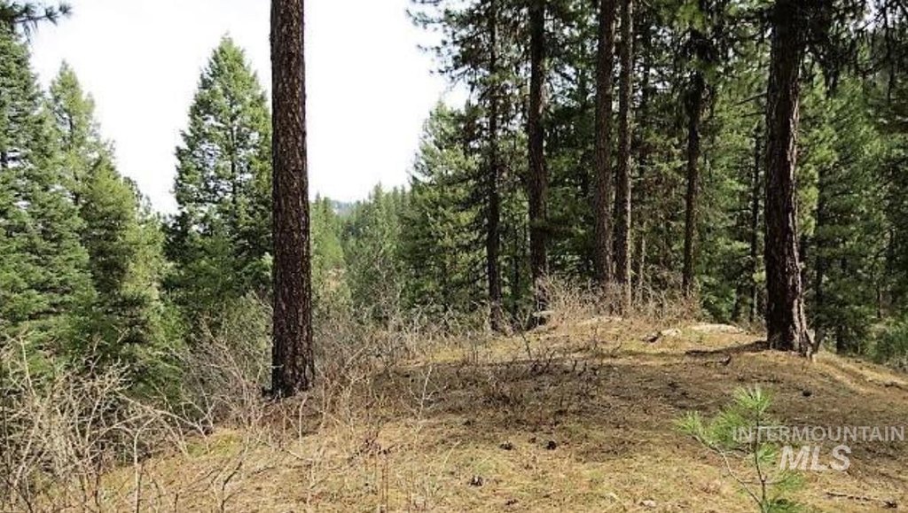 Picture 12