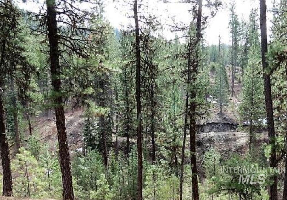 Picture 3