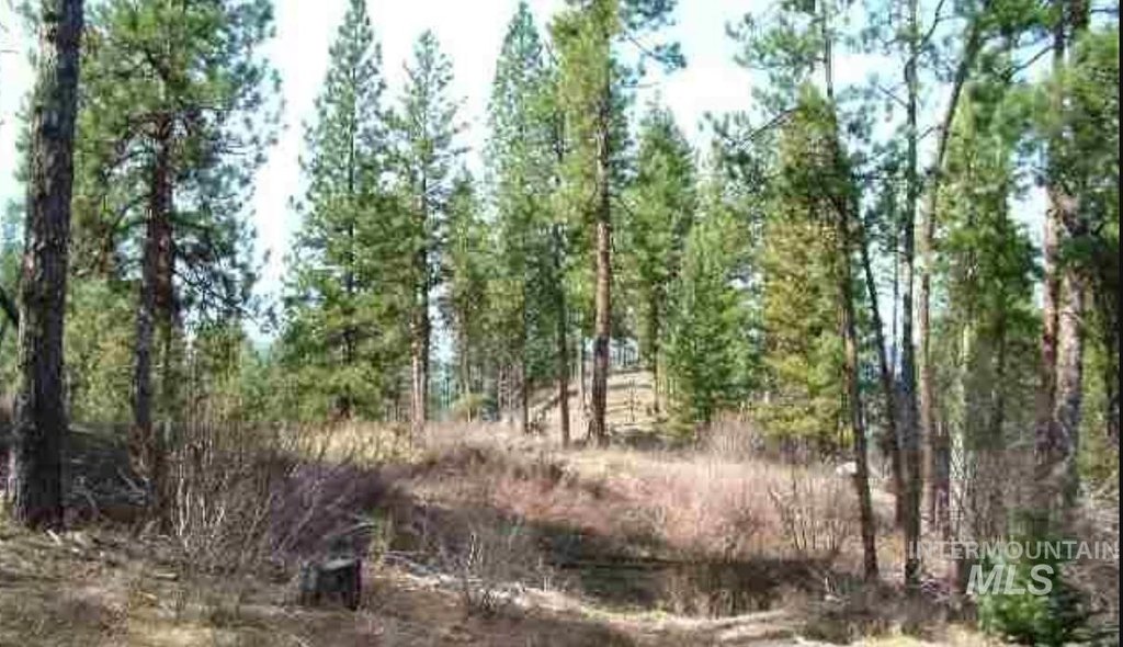 Picture 6