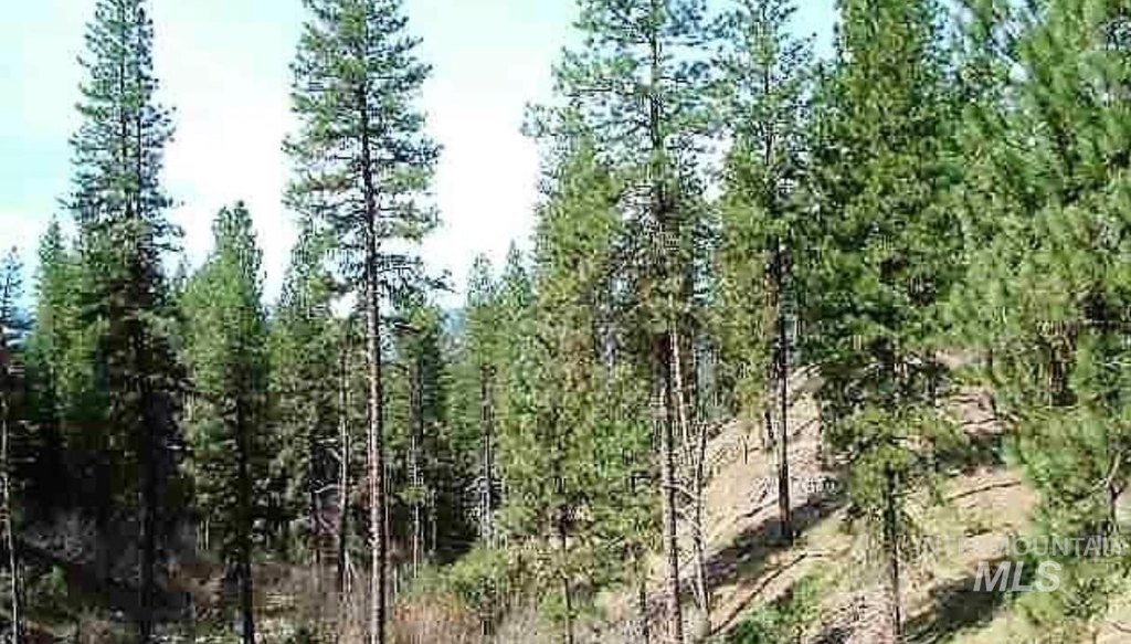 Picture 7