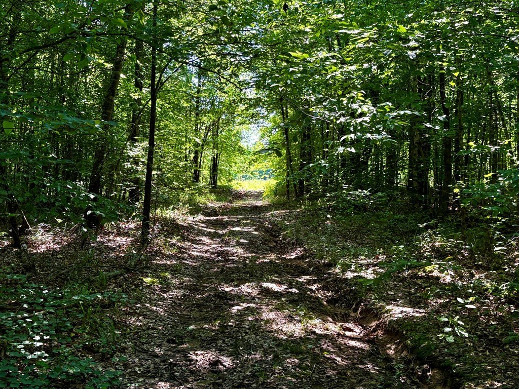 Picture 20