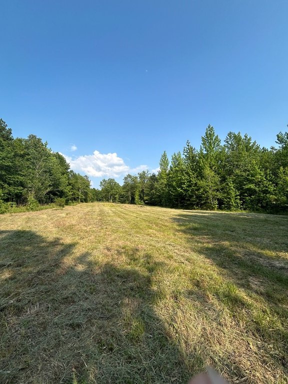 Picture 48