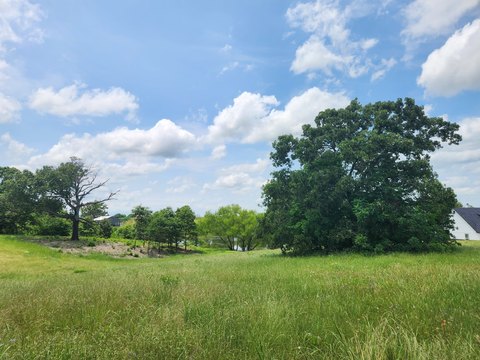 Land, Athens, TX