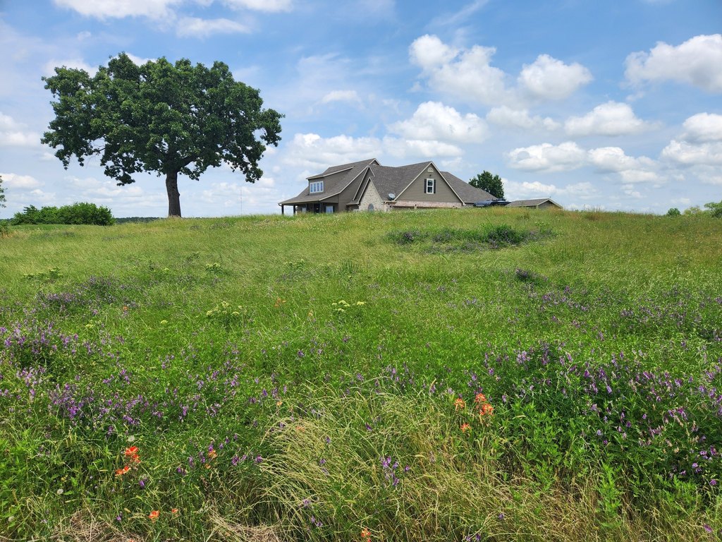 Picture 5