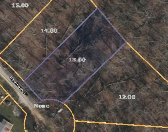 Undeveloped Land Near Tennessee River