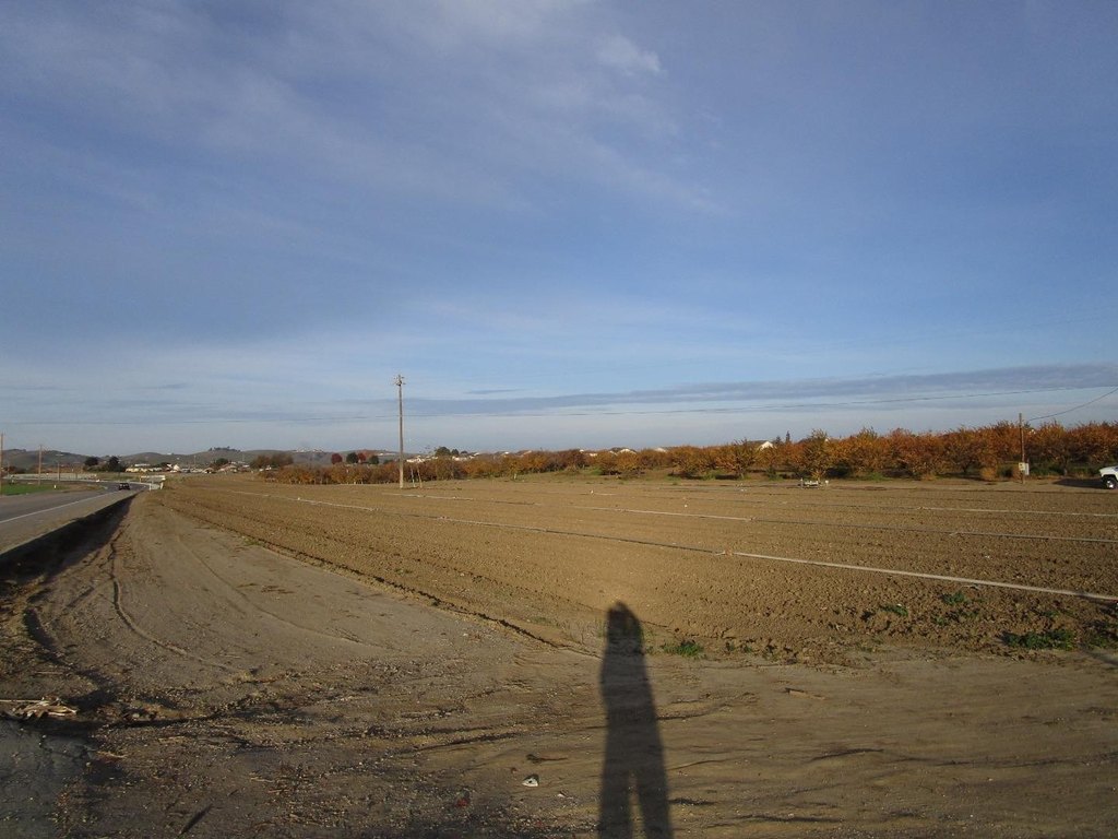 Picture 8
