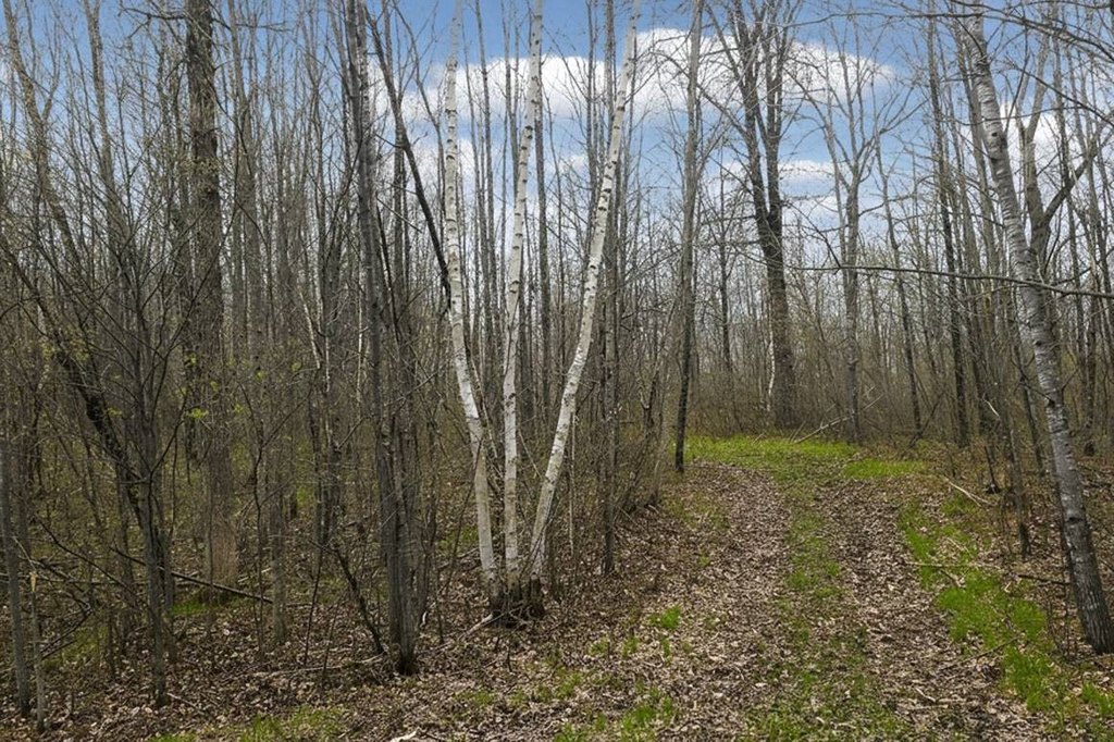 Picture 16