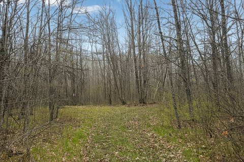 Recreational Land Near Trego Lake