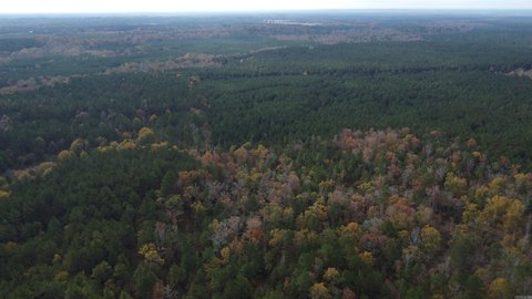Arkansas Hunting Land Near Joan