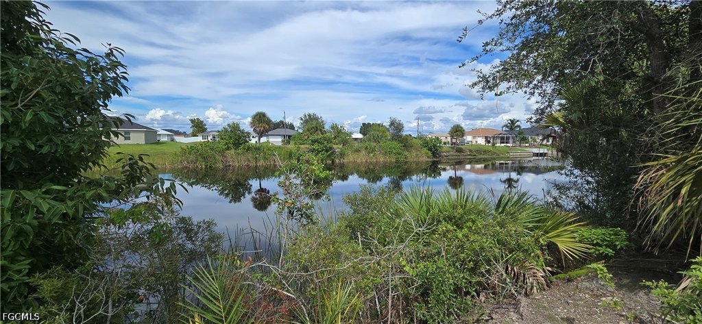 Picture 4