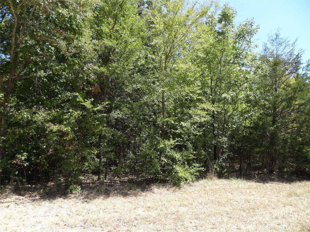 Picture 16