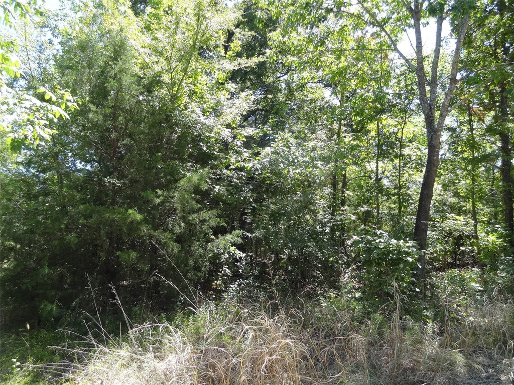 Picture 13