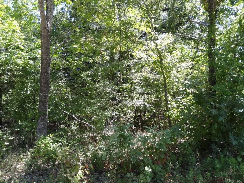 Picture 14