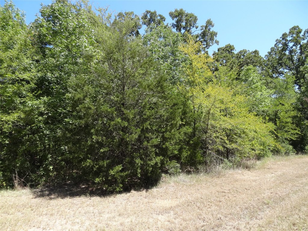 Picture 3