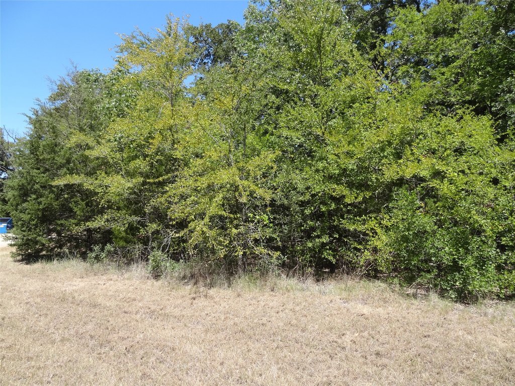 Picture 12