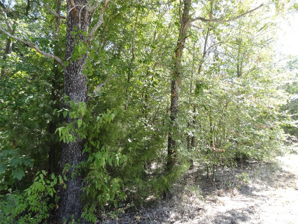 Picture 15