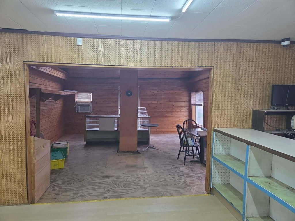 Picture 5