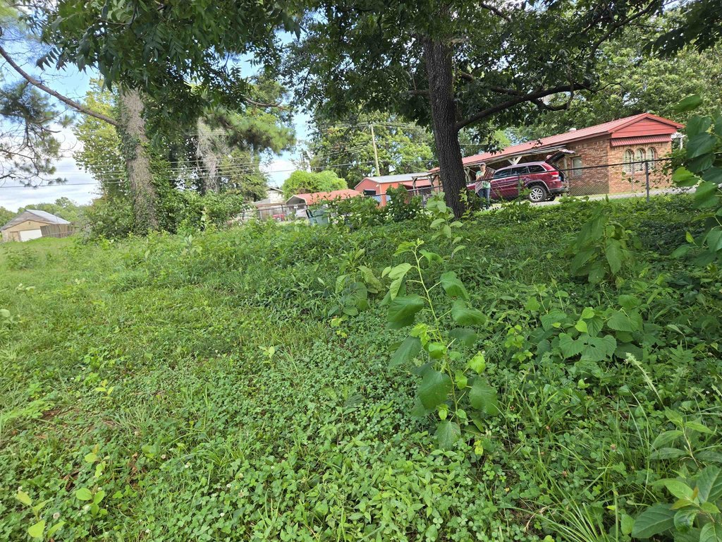 Picture 14