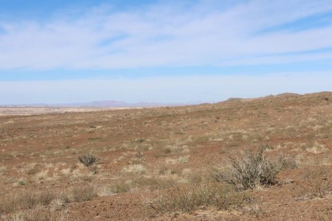 Terlingua Ranch 40-Acre Tract
