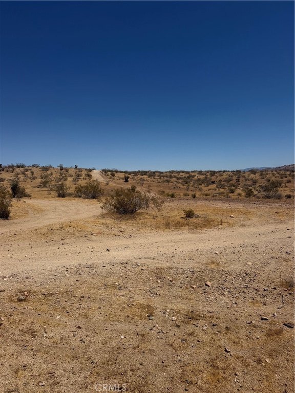 Picture 6