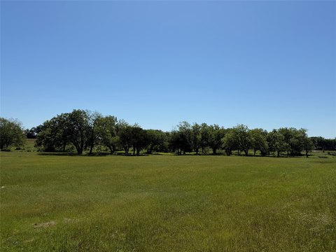 Residential Land with Mature Trees
