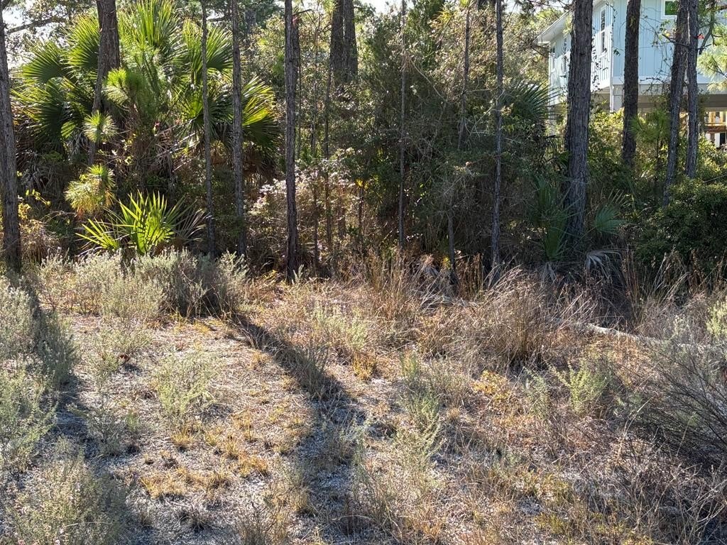 Picture 8