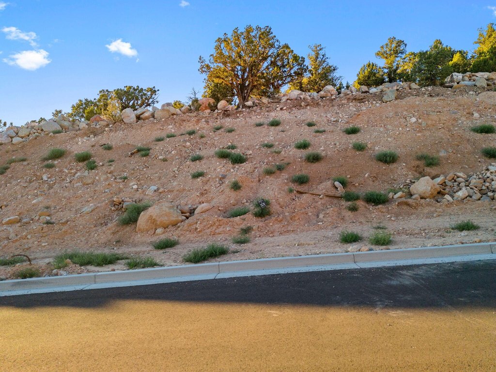Picture 4